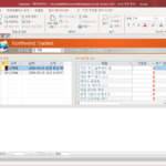 Microsoft 365 / Access / 소개