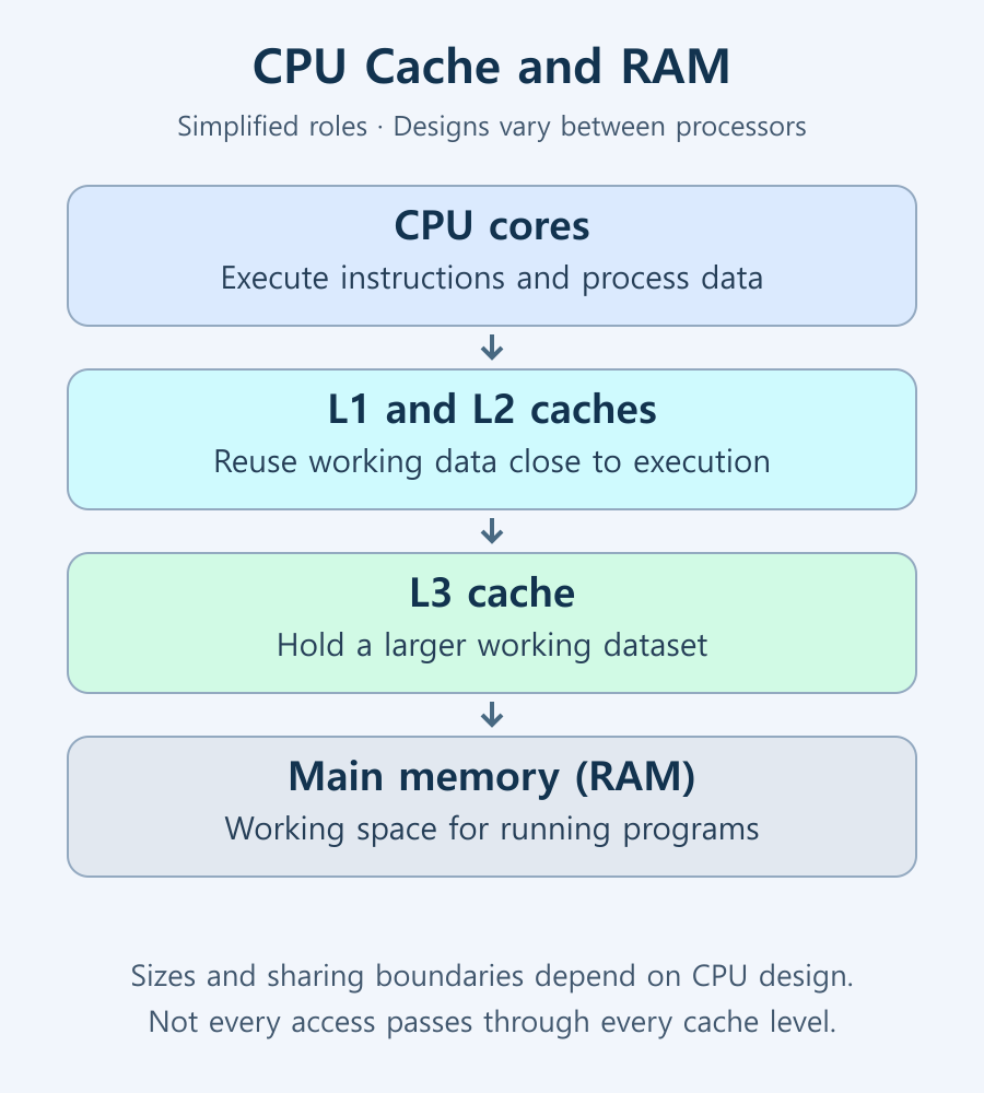 Simplified relationship between CPU cores, cache levels, and main memory