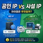 공인 IP vs 사설 IP