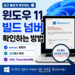 윈도우 11 / 빌드 넘버 확인하는 방법